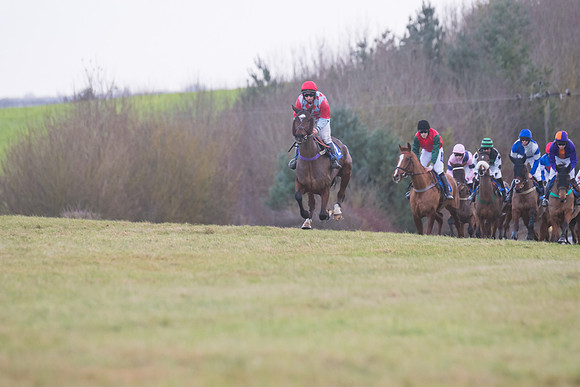 Race 8 - Open Maiden (103 of 214)