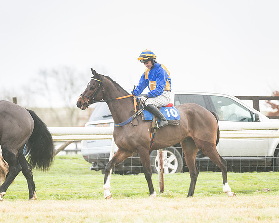 Rce 2 - 4 and 5 year old Maiden (10 of 90)