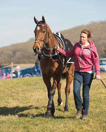 Race 1 Div 1 - 2M4F Maiden (11 of 117).jpg
