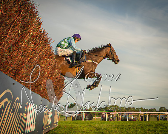 Race 5 - tipsterreviews.co.uk handicap (42 of 107)