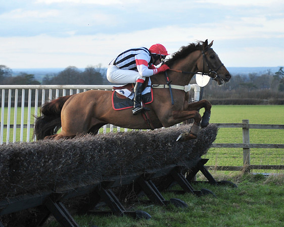 TVRC - Young Horse Maiden Division 2