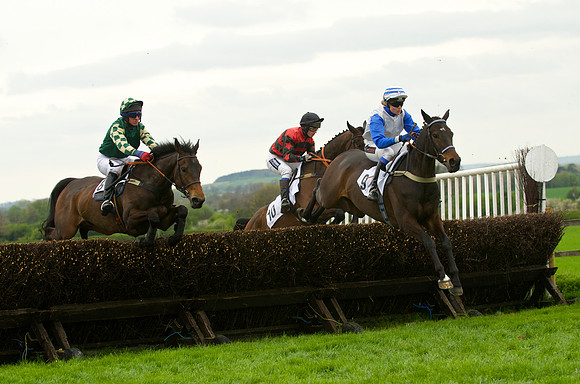 Race 4 - Nov-vets 33