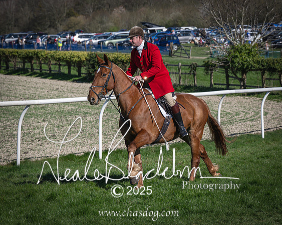 Race 6 - Veteran horse (20 of 109)