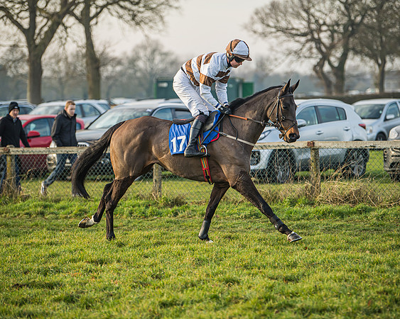 Race 6 - Open Maiden (7 of 138)
