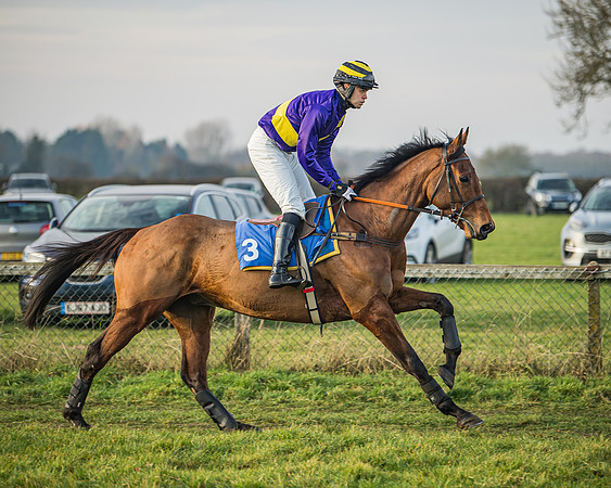 Race 6 - Open Maiden (12 of 138)