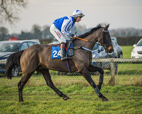 Race 6 - Open Maiden (14 of 138)