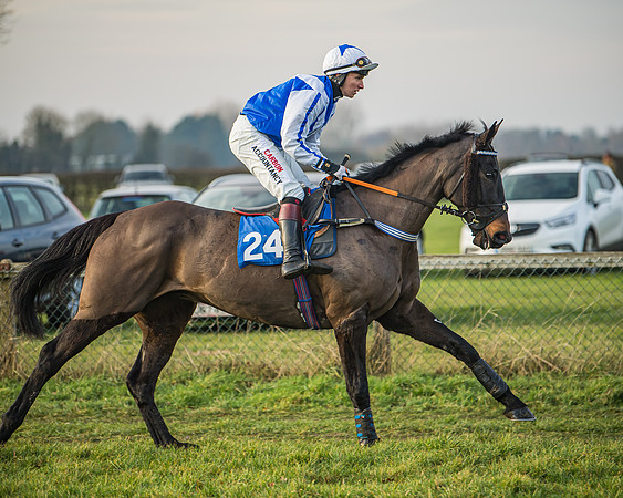 Race 6 - Open Maiden (15 of 138)