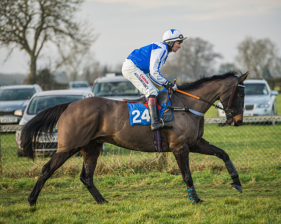 Race 6 - Open Maiden (16 of 138)