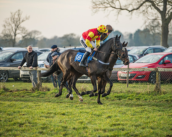 Race 6 - Open Maiden (19 of 138)