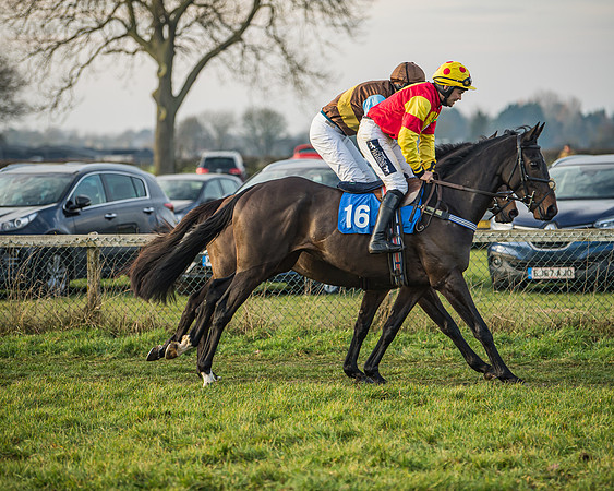 Race 6 - Open Maiden (21 of 138)