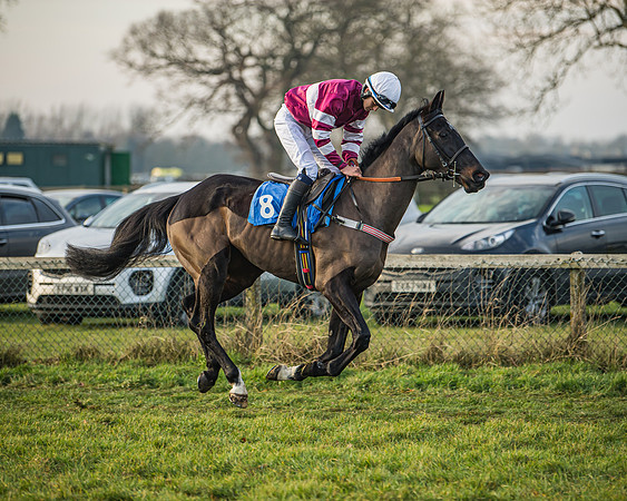 Race 6 - Open Maiden (27 of 138)