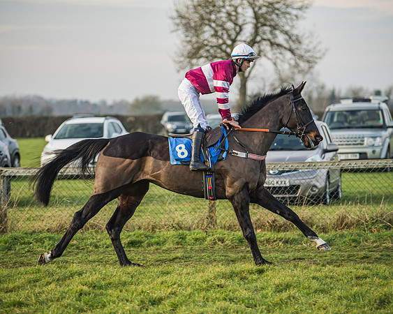 Race 6 - Open Maiden (28 of 138)