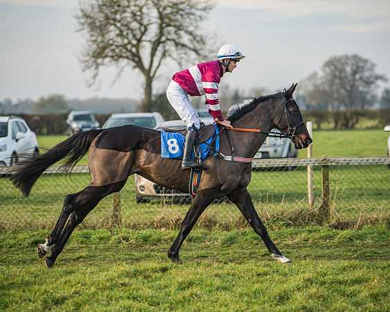 Race 6 - Open Maiden (29 of 138)