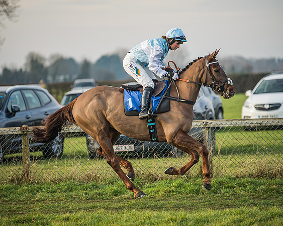 Race 6 - Open Maiden (33 of 138)