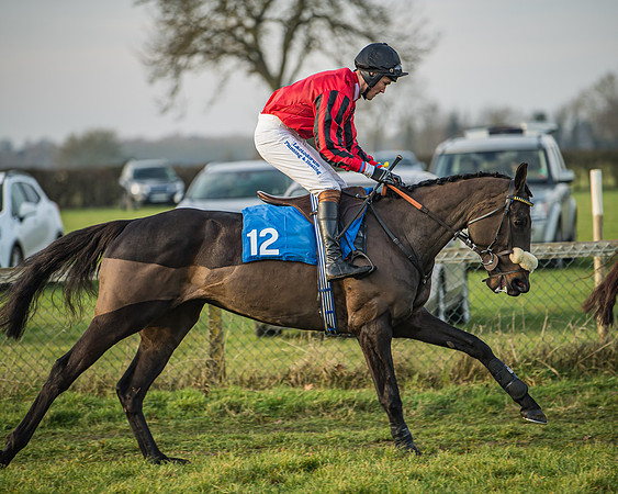 Race 6 - Open Maiden (34 of 138)