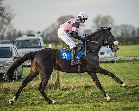 Race 6 - Open Maiden (35 of 138)