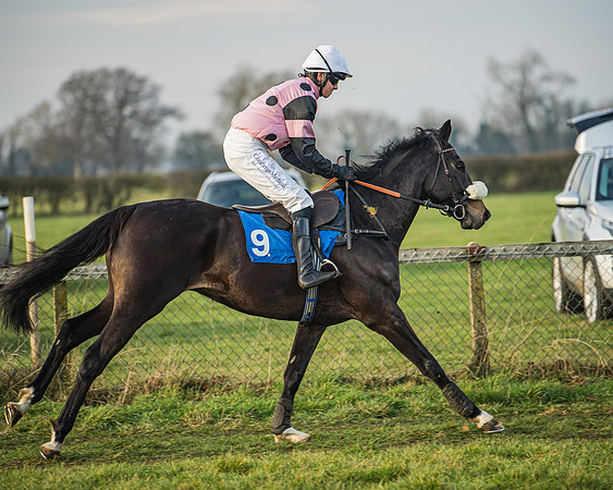 Race 6 - Open Maiden (36 of 138)
