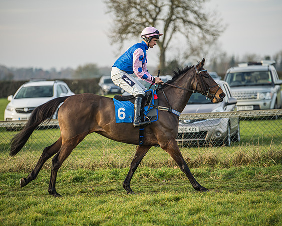 Race 6 - Open Maiden (38 of 138)