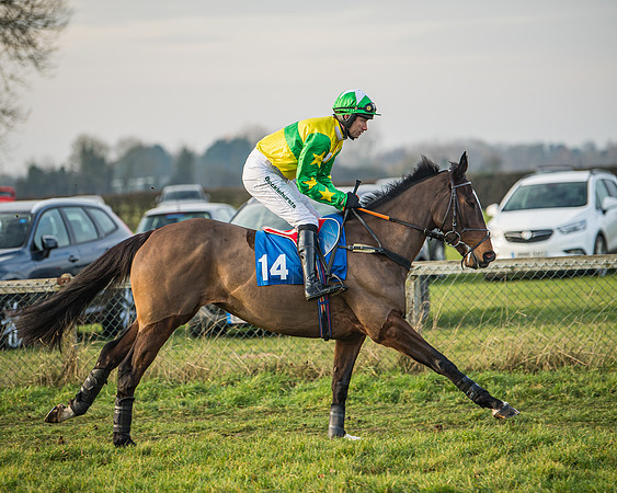 Race 6 - Open Maiden (41 of 138)