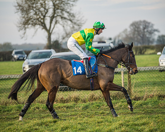 Race 6 - Open Maiden (42 of 138)