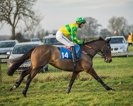 Race 6 - Open Maiden (43 of 138)