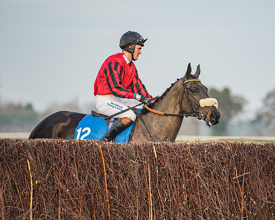 Race 6 - Open Maiden (48 of 138)