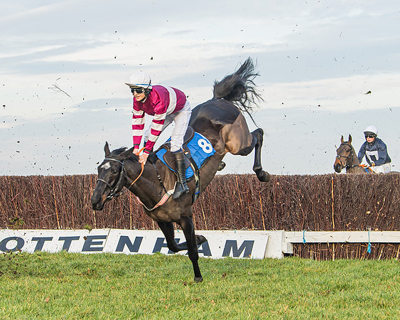 Race 6 - Open Maiden (63 of 138)