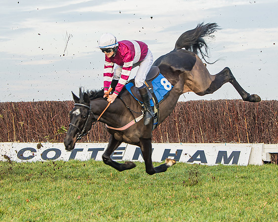 Race 6 - Open Maiden (64 of 138)