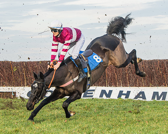 Race 6 - Open Maiden (65 of 138)
