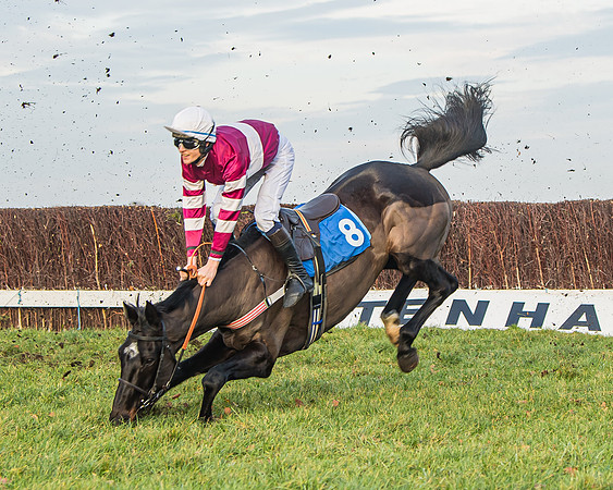 Race 6 - Open Maiden (66 of 138)