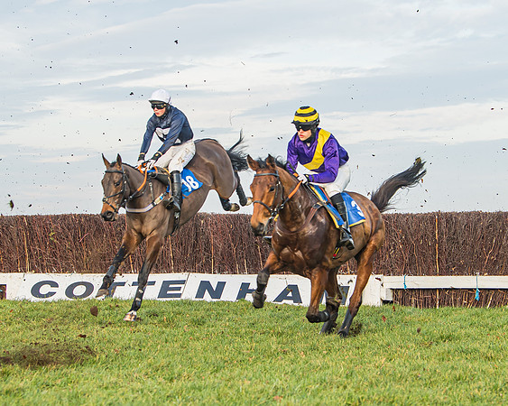 Race 6 - Open Maiden (69 of 138)