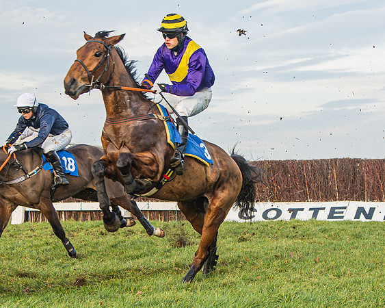 Race 6 - Open Maiden (75 of 138)