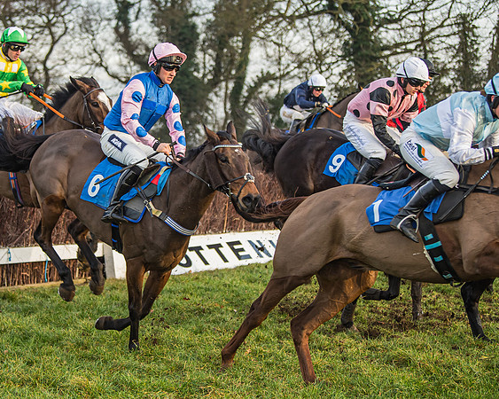 Race 6 - Open Maiden (88 of 138)