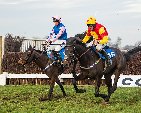 Race 6 - Open Maiden (104 of 138)