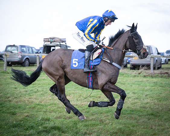 Race 2 - Maiden (19 of 145)
