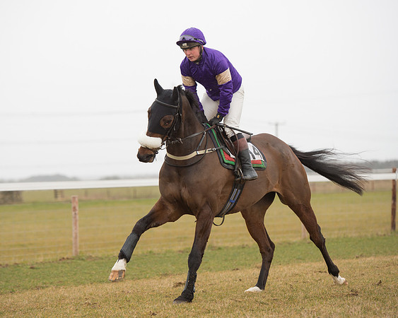 Race 6 - Open Maiden (38 of 120).jpg