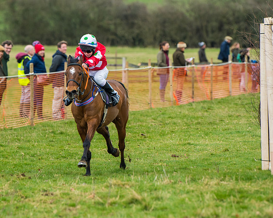 Pony Race 2 (55 of 162)