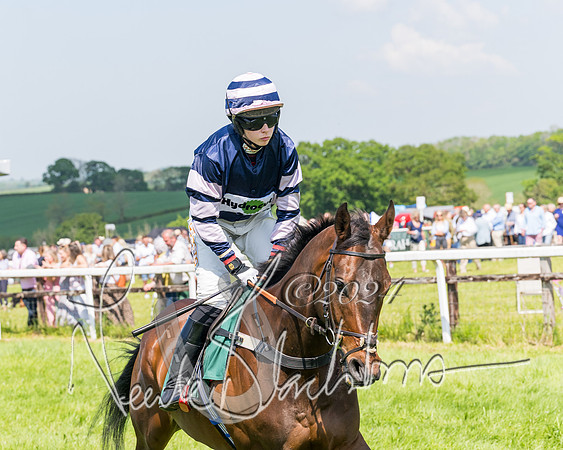 Race 2 - The Maiden  (131 of 442)