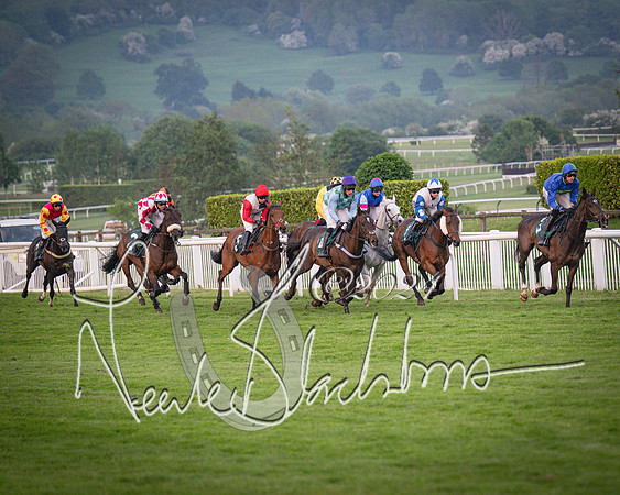 Race - 7 The Royal Gloucester Hussars Open Hunter's steeplechase 2m4f 127y (63 of 210)