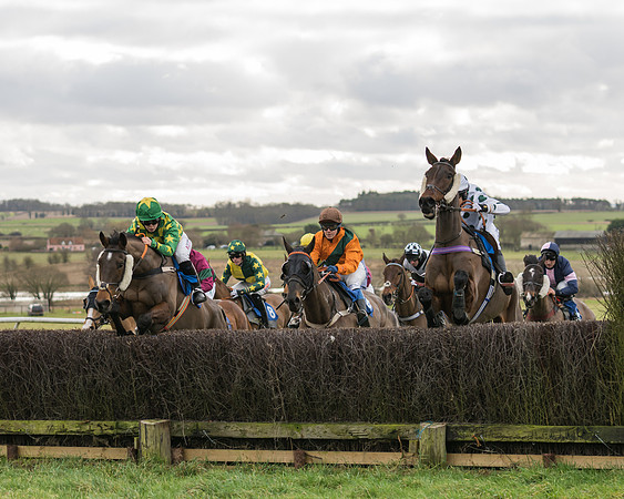 Race 1 - Veteran Horses Conditions (3 of 50)