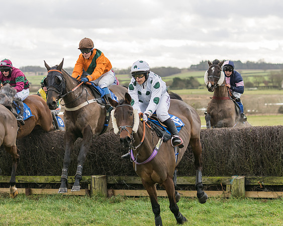 Race 1 - Veteran Horses Conditions (7 of 50)