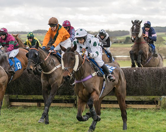 Race 1 - Veteran Horses Conditions (8 of 50)