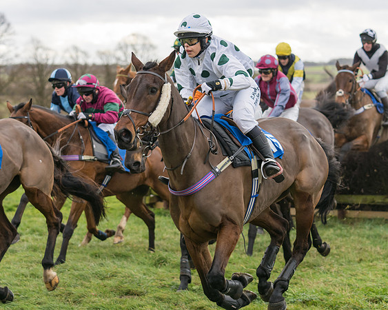 Race 1 - Veteran Horses Conditions (9 of 50)