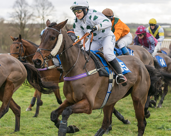Race 1 - Veteran Horses Conditions (10 of 50)
