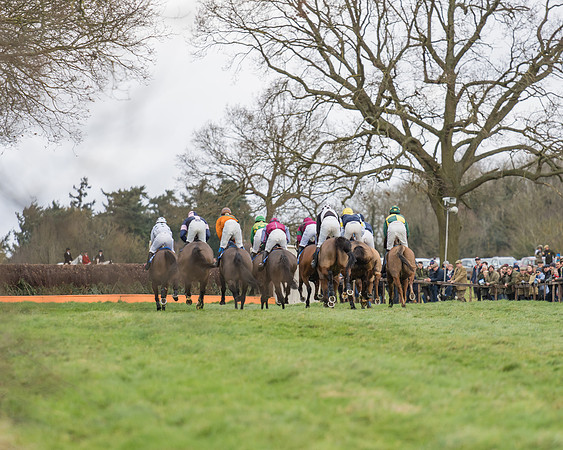 Race 1 - Veteran Horses Conditions (11 of 50)