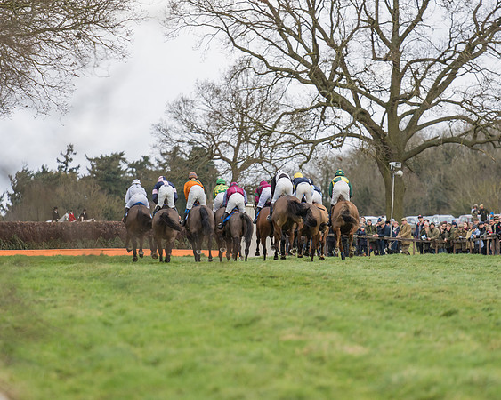 Race 1 - Veteran Horses Conditions (12 of 50)