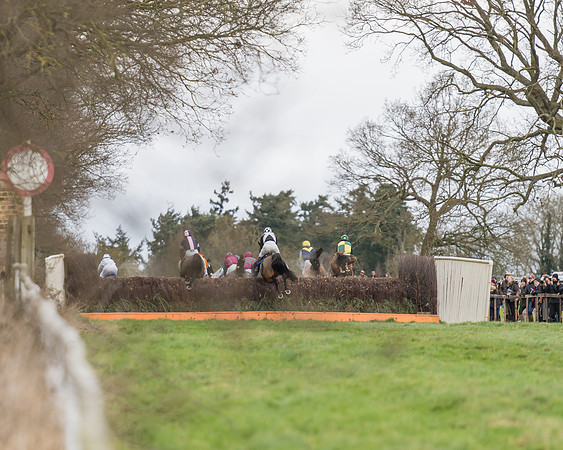 Race 1 - Veteran Horses Conditions (13 of 50)