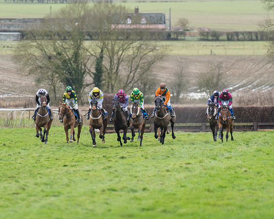 Race 1 - Veteran Horses Conditions (14 of 50)
