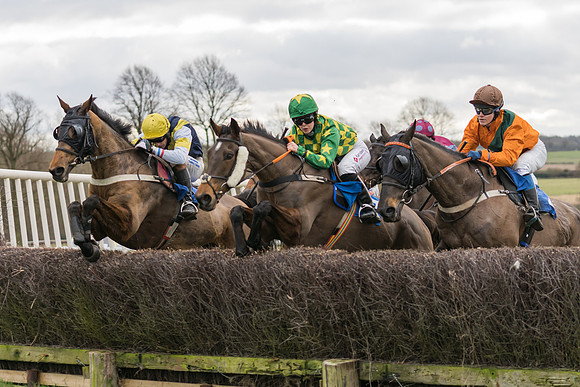 Race 1 - Veteran Horses Conditions (18 of 50)