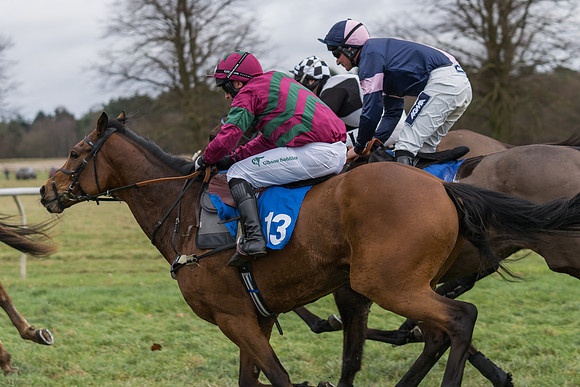 Race 1 - Veteran Horses Conditions (23 of 50)